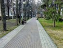 Мэр Вадим Кстенин дал старт уборке воронежских улиц 