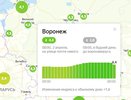 Яндекс дал Воронежу самую высокую оценку самоизоляции среди миллионников