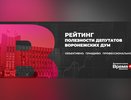 В Воронежской области представят итоги рейтинга полезности депутатов