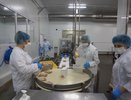 Воронежский «Молвест» запустил новую линию по нарезке сыров ультразвуком