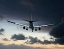 Воронежцы могут оставить чиновников без двойного гражданства