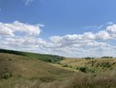 Под Воронежем пройдут съемки фильма киностудии Алексея Учителя