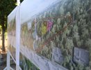 В Воронеже началась подготовка к реконструкции проблемного парка «Танаис»