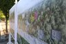 Миниатюра новости: В Воронеже началась подготовка к реконструкции проблемного парка «Танаис»