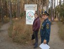 В Воронеже проблемный Северный лес может получить статус памятника природы