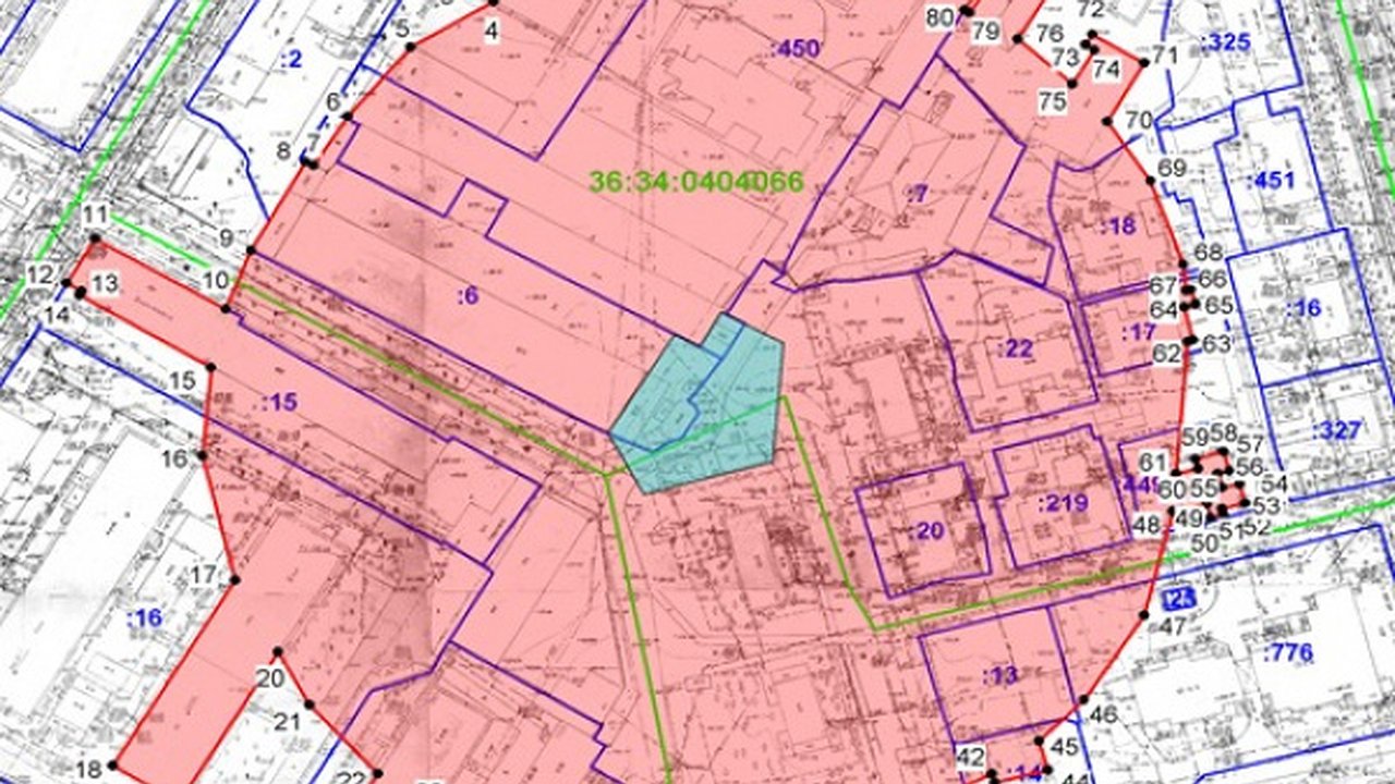Главная картинка новости: «Лебедь, рак да щука»: в Воронеже ДОМ.РФ переиграет торги на Чапаева