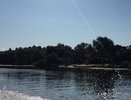 Прокуратура остановила стройку на берегу реки Воронеж 
