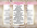 В воронежских вузах могут пересчитать стоимость обучения на дистанте