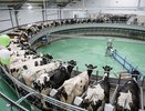 В воронежском агрохолдинге ответили на претензии прокуратуры