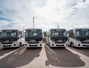 На воронежские маршруты выйдут сразу 12 новых автобусов