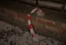 Миниатюра новости: Территорию воронежского «Полтинника» отметили сигнальными лентами