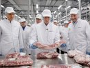 Александр Гусев проинспектировал предприятие «АГРОЭКО» в Павловском районе