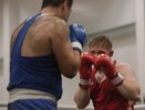 Спортсмены из ЛНР будут участвовать в турнирах Воронежской области 