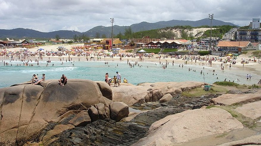 Главная картинка новости: В Воронеже ищут мошенника, продававшего липовые визы