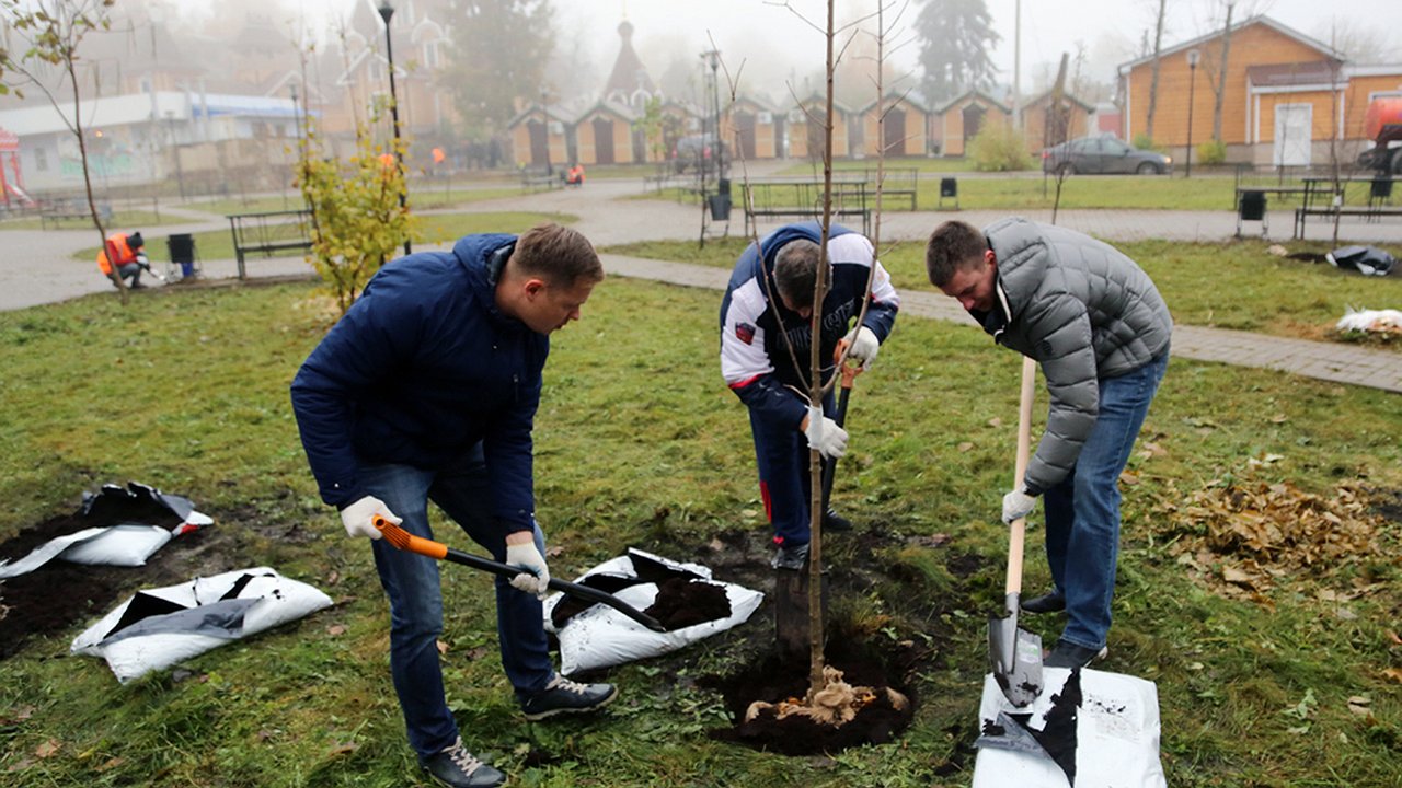 Главная картинка новости: Природоохранные мероприятия в Воронеже в 2018 году обошлись почти в 165 млн рублей