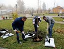 Природоохранные мероприятия в Воронеже в 2018 году обошлись почти в 165 млн рублей