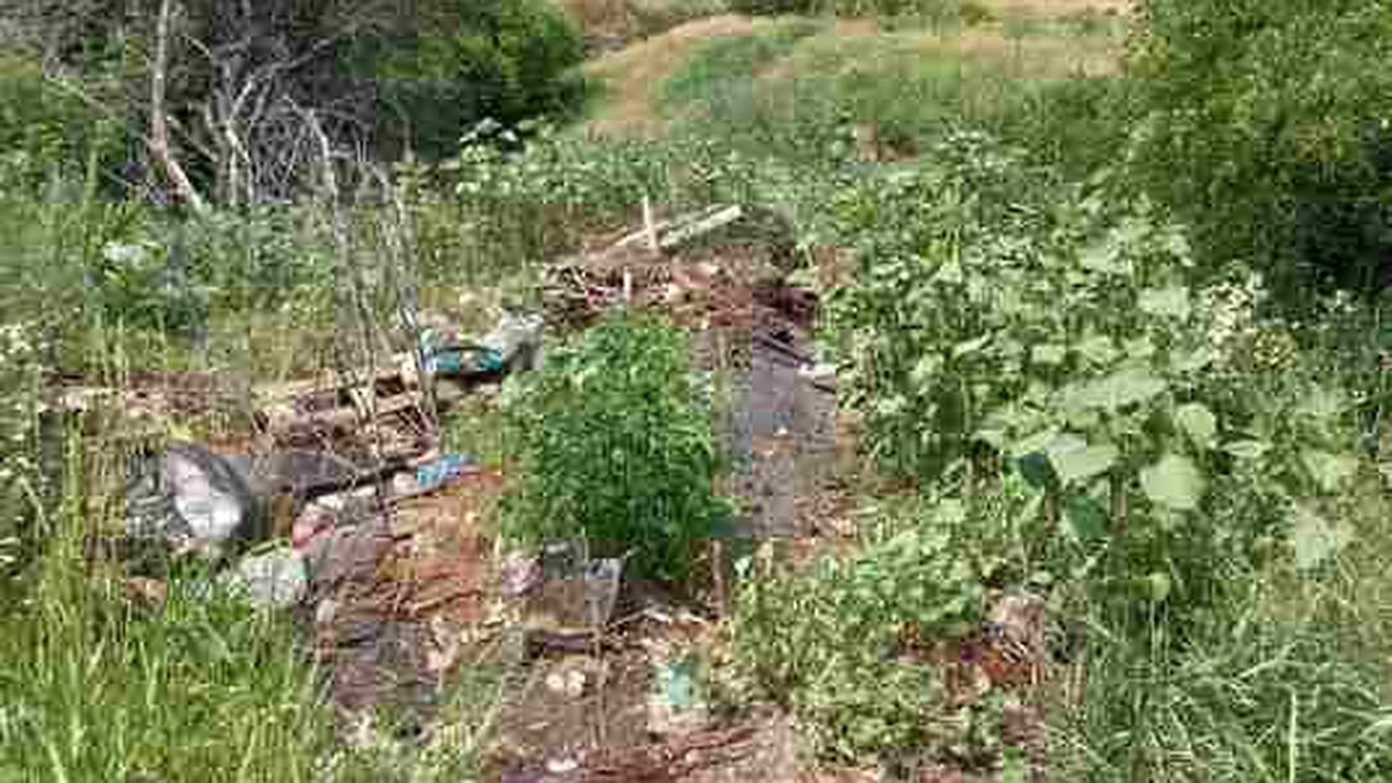Главная картинка новости: В Воронежской области выявили места с загрязненной почвой 