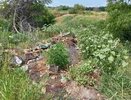 В Воронежской области выявили места с загрязненной почвой 