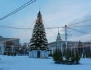 В Воронеже приготовят 100-метровый «Чернозем»