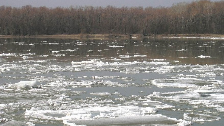 Главная картинка новости: В Воронежской области утонул рыбак