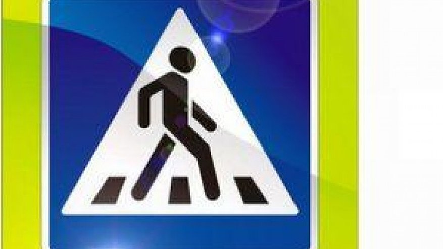 Главная картинка новости: На трассах Воронежской области появились "НАНОзнаки"