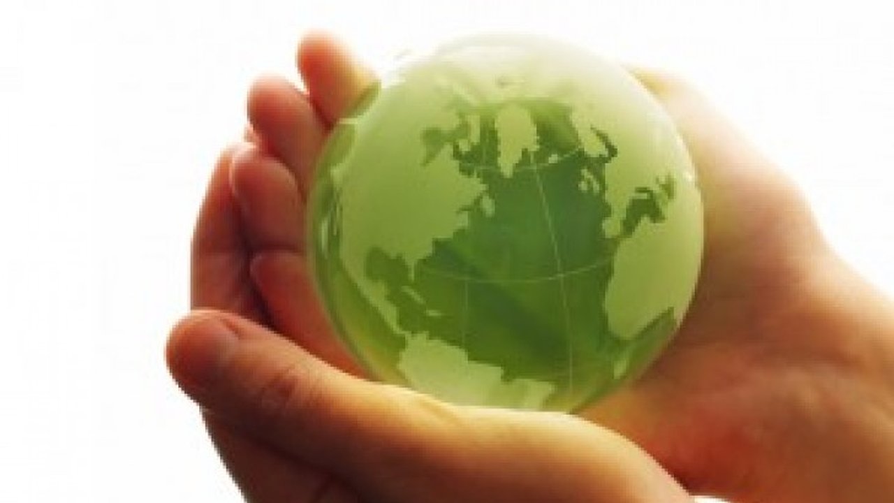 Главная картинка новости: В Воронеже открывается альтернативный центр экологической информации