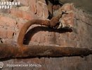 Условия проживания людей в Доме Сомова в Воронеже заинтересовал Следственный комитет