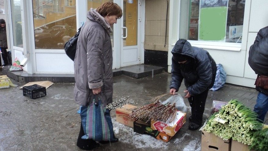 Главная картинка новости: К выходным вербы в Воронеже будут продавать втридорога