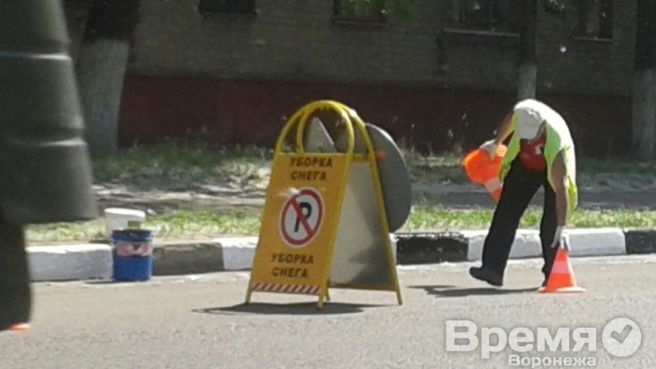Главная картинка новости: В Воронеже в 30-градусную жару убирают… снег
