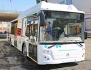 Мэрия с проблемами застраховала прибывшие в Воронеж автобусы