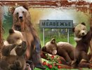 Бюрократия отсекла жителя от борьбы за пост главы воронежского села 