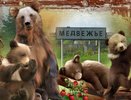 Пробившийся на пост глава воронежского села внезапно покидает пост