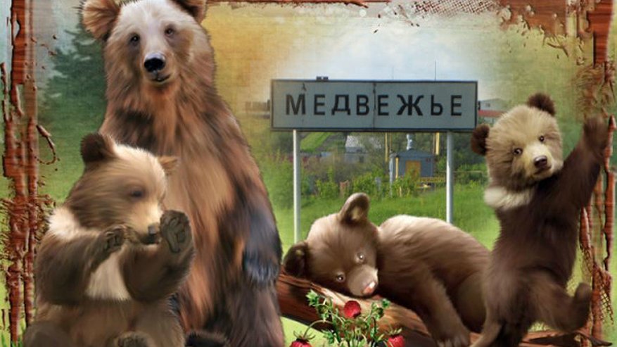 Главная картинка новости: Пробившийся на пост глава воронежского села внезапно покидает пост