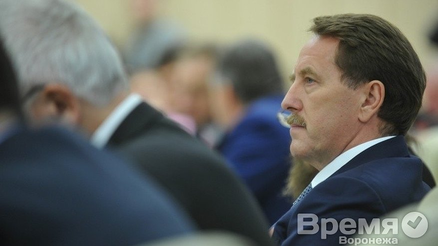 Главная картинка новости: В Воронежской области назначили нового представителя региона при федеральных органах власти