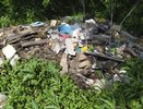 Воронежское облправительство подключилось к проблеме панинской свалки