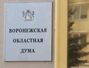 Депутаты от оппозиционных партий займут 8 мест в воронежской облдуме   