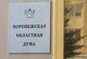 Миниатюра новости: Депутаты от оппозиционных партий займут 8 мест в воронежской облдуме   