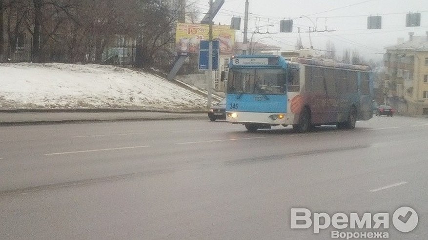 Главная картинка новости: Водители воронежских троллейбусов передумали перекрывать центр Воронежа