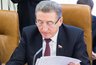 Миниатюра новости: Воронежский сенатор: «Нужно создавать благоприятные условия жизни для всех горожан»