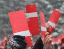 Воронежскую оппозицию послали с Адмиралтейки на Машмет из-за футбола