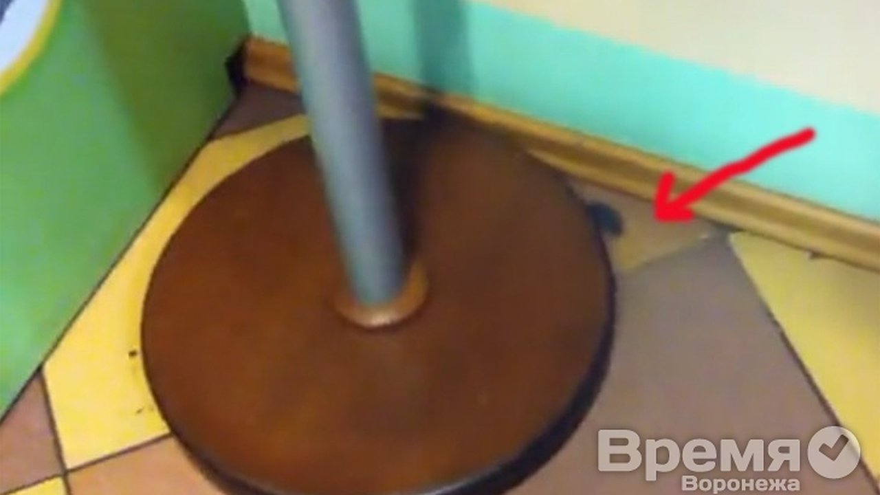 Главная картинка новости: В детском кафе сити-парка «Град» воронежцы на видео сняли… мышь