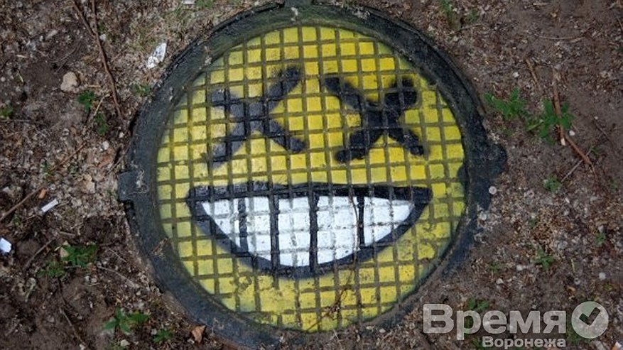 Главная картинка новости: «РВК-Воронеж» запретил активистам раскрашивать люки в городе
