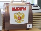 Воронежская область стала чемпионом  мира по голосованию на дому