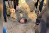 Миниатюра новости: Воронежский «стрелок» избежал уголовного наказания