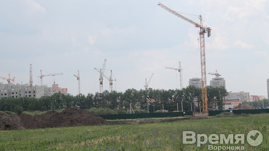 Главная картинка новости: В Воронежской области на стройках незаконно работали иностранцы