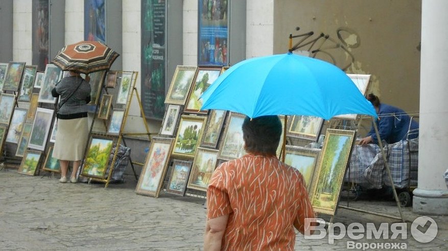 Главная картинка новости: В Воронеже в день выборов будет пасмурно и дождливо
