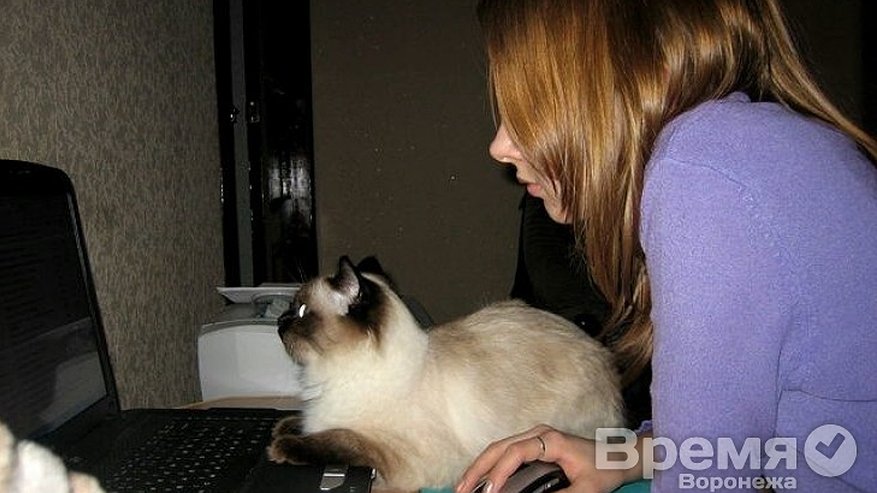 Главная картинка новости: В конкурсе Tele2 Воронеж первое место занял снимок, на котором кот помогает девушке осваиваться в сети Интернет