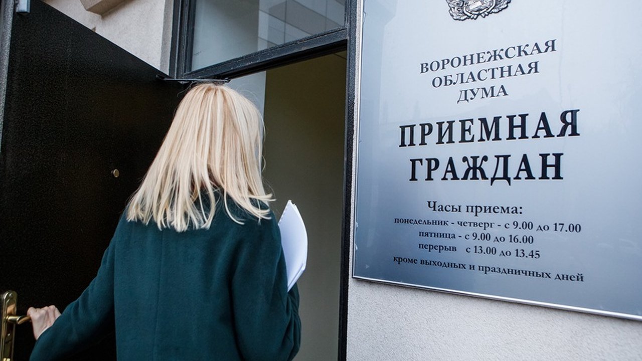 Главная картинка новости: Общественная приемная Воронежской облдумы продолжит работу в нерабочие дни