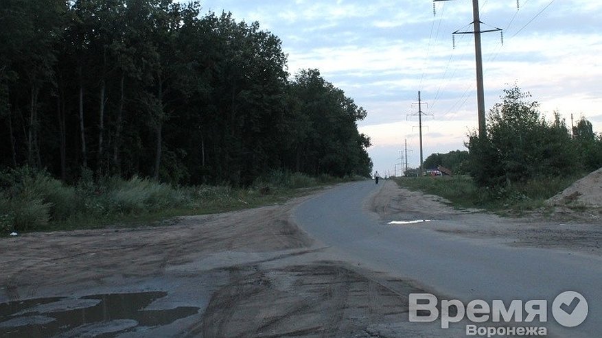Главная картинка новости: Воронежцы подписываются под петицией против расширения дороги на Ломоносова и Тимирязева