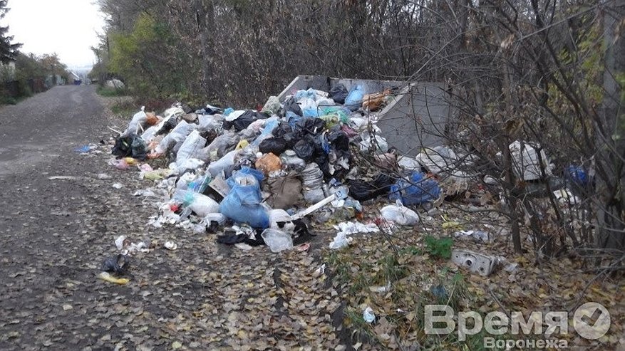 Главная картинка новости: В посёлке под Воронежем деревья увешаны пакетами с мусором, а отходы не вывозят неделями